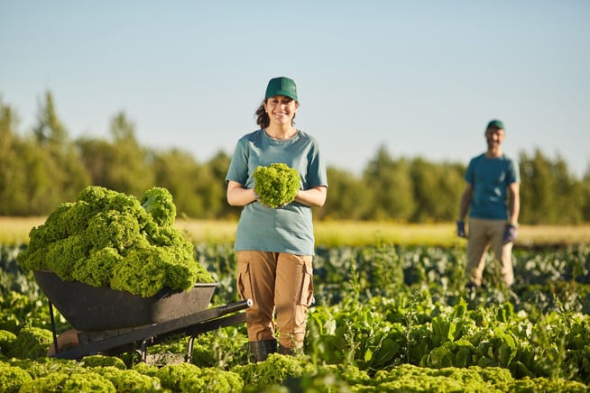 Intérim agricole : une solution pour une main-d'œuvre flexible