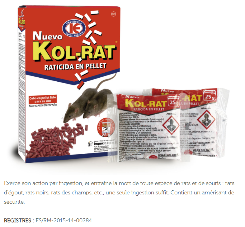 RMO DERATISATION ET DESINSECTISATION KOL RAT
